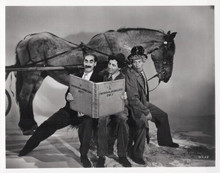 The Marx brothers read horse book posing by horse 8x10 inch photo