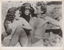 Tarzan The Ape Man Johnny Weissmuller injured M.O'Sullivan Cheetah 8x10 photo