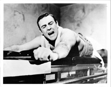 Thunderball 8x10 inch photo Sean Connery strapped to exercise rack