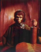 Planet of the Apes Kim Hunter portrait as Dr. Zira 8x10 inch photo