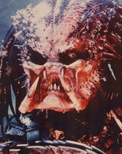Predator closeup image of the "face" of Predator alien 8x10 inch photo