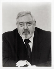 Perry Mason Returns Raymond Burr in suit as Perry 8x10 inch photo