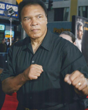 Muhammad Ali In Boxer Pose On Red Carpet 8x10 Photograph