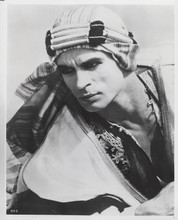 Rudolph Valentino 8x10 inch photo portrait as The Sheik