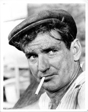 Rod Taylor 1965 original 8x10 photo cigarette in mouth Young Cassidy