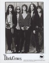 The Black Crowes 1990 original 8x10 photo American Recordings promotional