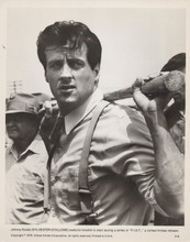 F.I.S.T. 1978 Movie Scene with Sylvester Stallone Close Up 8x10 Photograph