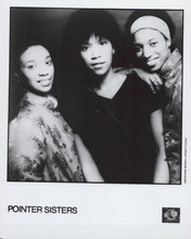 Pointer Sisters 1978 Promo Official 8x10 Photograph