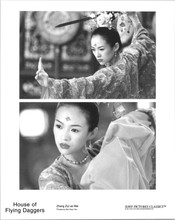 House of Flying Daggers 2003 original 8x10 photo Zhang Ziyi in scenes