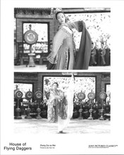 House of Flying Daggers 2003 original 8x10 photo Zhang Ziyi in dance scenes