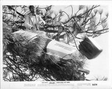 You're Never Too Young 1955 original 8x10 photo Dean Martin Jerry Lewis in tree