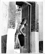 Claudia Cardinale 1966 original 8x10 photo Lost Command looking over shoulder
