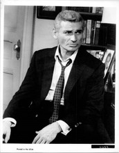 Jeff Chandler 1950's era original 8x10 photo portrait in suit and tie