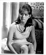 Claudia Cardinale 1966 lovely portrait original 8x10 photo Lost Command