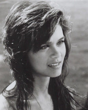 Nia Peeples 1987 portrait from movie North Shore 8x10 inch photo