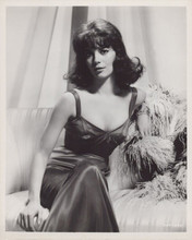 Natalie Wood sits on sofa in black dress 1960's era original 8x10 photo