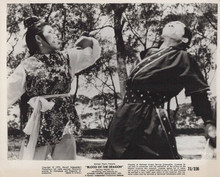 Blood of the Dragon 1973 original 8x10 photo female kung fu action star