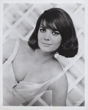 Natalie Wood original 8x10 photo Sex and The Single Girl in white dress