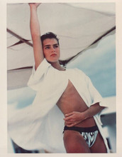 Brooke Shields 1980's vintage 8x10 photo poses bikini bottoms & shirt on yacht