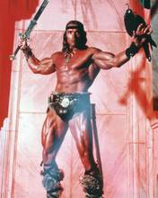 Arnold Schwarzenegger buff full body pose Conan The Barbarian 8x10 inch photo