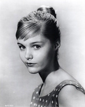 Carol Lynley 1958 studio portrait The Light in the Forest 8x10 inch photo