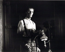 The Addams Family 1991 movie Carel Struycken as Lurch with duster 8x10 photo
