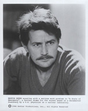 Martin Sheen 1986 original 8x10 photo portrait A State of Emergency