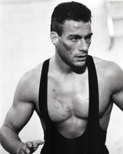 Jean-Claude Van Damme beefcake pose in black outfit 1990 Lionheart 8x10 photo