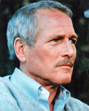 Paul Newman looks cool as Eddie Felson 1986 Color of Money 8x10 inch photo