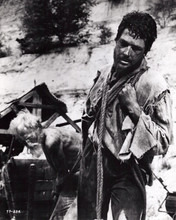 Pirates of Blood River 1962 Hammer adventure Kerwin Williams 8x10 inch photo