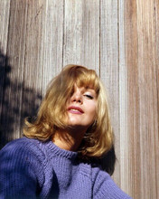 Carol Lynley 1967 glamour portrait in purple sweater femme fatale 8x10 photo