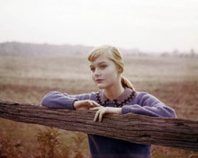 Carol Lynley young pose late 1950's by wooden fence 8x10 inch photo