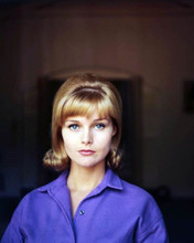 Carol Lynley circa 1967 bob hair style wears purple shirt 8x10 inch photo