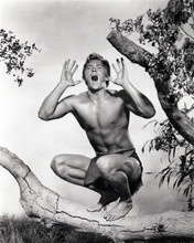 Denny Miller stands on tree branch doing his Tarzan yell 8x10 inch photo