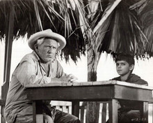 Spencer Tracy sits by palm tree 1958 The Old Man and The Sea 8x10 inch photo