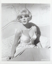 Stella Stevens 1960's era original 8x10 photo in night dress sat on bed