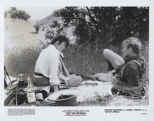 Out of Africa 1985 original 8x10 photo Robert Redford Meryl Streep picnic