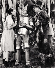 The Wizard of Oz Judy Garland Tin Man and Scarecrow in forest 8x10 inch photo