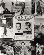 The Fugitive TV David Janssen composite 8 scenes & Wanted poster 8x10 photo