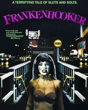 Frankenhooker 1990 cult horror Patty Mullen movie poster 8x10 inch photo
