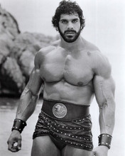 Lou Ferrigno beefcake muscle man pose 1983 as Hercules 8x10 inch photo
