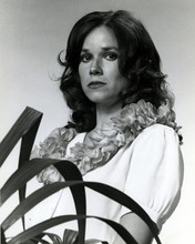 Christina Raines 1980 portrait Flamingo Road TV series 8x10 inch photo