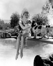 Lucille Ball with her dogs on pool diving board Palm Springs 8x10 inch photo