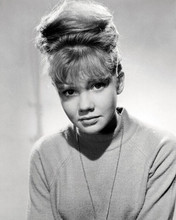 Hayley Mills early 1960's sophisticated hairstyle look portrait 8x10 inch photo