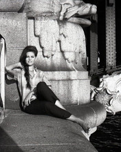 Claudia Cardinale relaxes in Rome by fountain 1960's era 8x10 inch photo