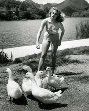 Anita Ekberg poses in swimsuit showing cleavage near lake 8x10 inch photo