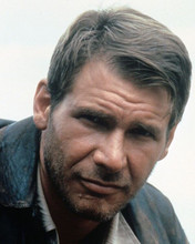 Harrison Ford in his classic leather jacket as Indiana Jones 8x10 inch photo