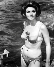 Sylva Koscina poses in bikini 1967 Deadlier Than The Male 8x10 inch photo