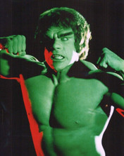 The Incredible Hulk TV series Lou Ferrigno as angry David Banner 8x10 photo