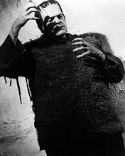 Son of Frankenstein 1939 Boris Karloff as The Monster 8x10 inch photo